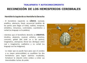 Características de cada uno de los Hemisferios Cerebrales