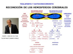 Características de los Hemisferios Cerebrales